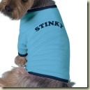 stinky_dog_shirt-p1556169476258156922vfsi_125