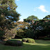 DA 21mm F3.2AL Limited