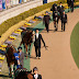 DA 55-300mm F4-5.8ED