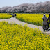 DA 40mm F2.8 Limited