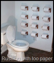 toilet-paper-toilet