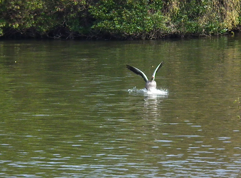 SplashDown%20513-3.jpg