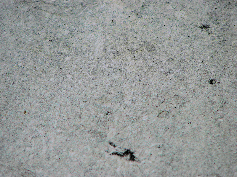 Dirty%20Car%20134.JPG