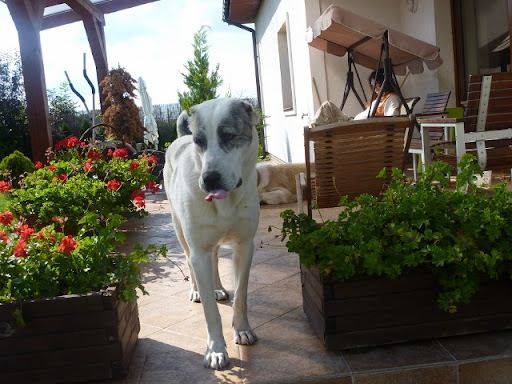 P1020220%20%28640x480%29.jpg