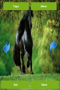 Horses Wallpapers Screenshots 4