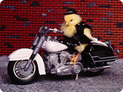 biker_chick