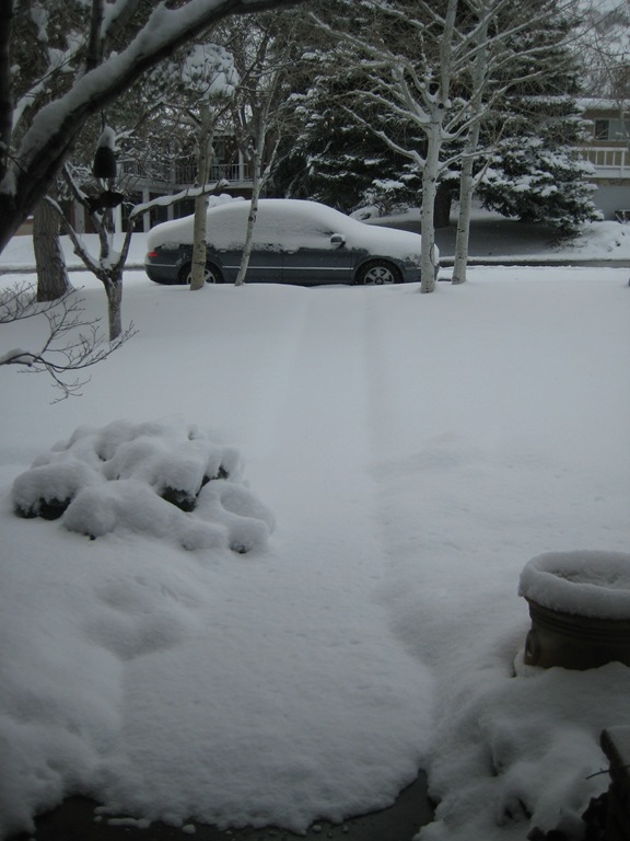 [2009 March 26  Snow 001[3].jpg]