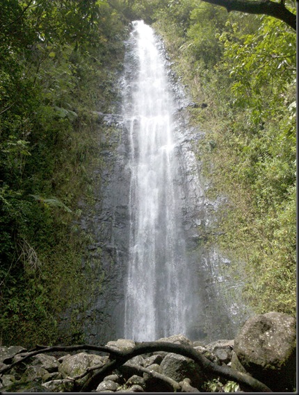 Manoa Falls (21)