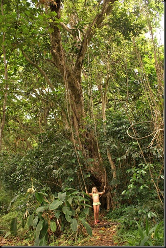 Maunawili hike 131