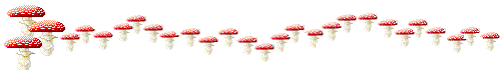 s0QCARLAPERLIN.png