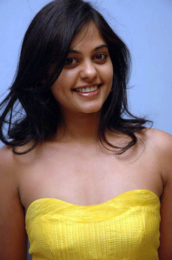 Thelugu Actress Bindhu Madhavi Hot Photoshoot In Yellow Dress All About Jobs Tollywood News