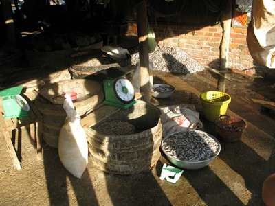 [IMG_61613.jpg]