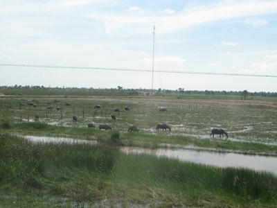 [IMG_47153.jpg]