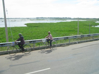 [IMG_47253.jpg]