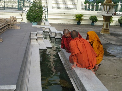 [IMG_49203.jpg]