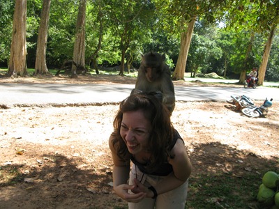 [IMG_55273.jpg]