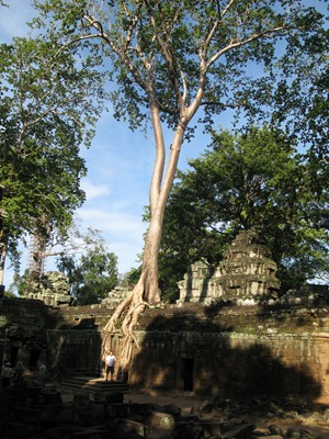 [IMG_55793.jpg]