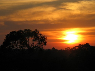[IMG_57033.jpg]