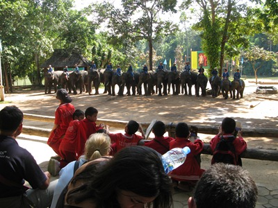 [IMG_63353.jpg]