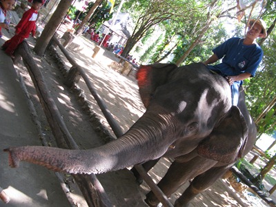 [IMG_63833.jpg]
