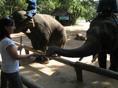 [IMG_63693.jpg]