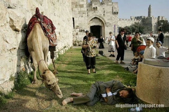 [borrachos (20)migallinero.blogspot[5].jpg]