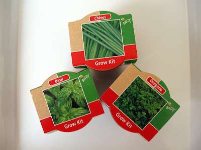 Herb Growing on Buzzy Herb Garden By Sergej