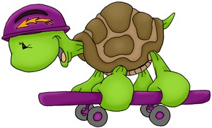Skateboard Turtle