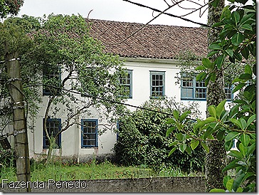 Fazenda Penedo 04 Dez09