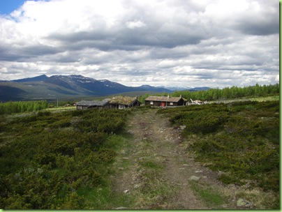 Tur til Murdalsetra i Skåbuferien juni 09 029