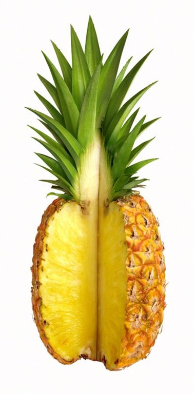 [Pineapple4.jpg]