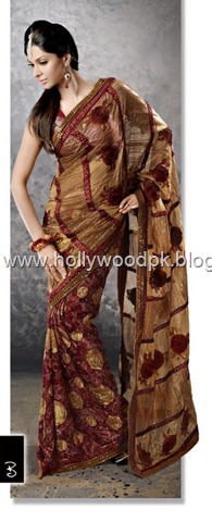 [indian saari. pakistani saari. bangladeshi saari. pakistani fashion.. indian fashion. latest dresses (66)[2].jpg]