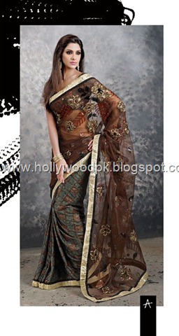 [indian saari. pakistani saari. bangladeshi saari. pakistani fashion.. indian fashion. latest dresses (74)[2].jpg]