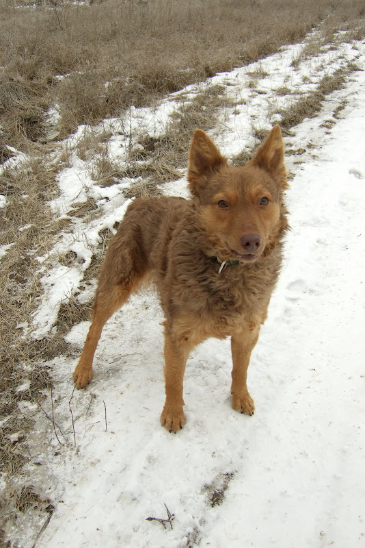 dscf9063.jpg