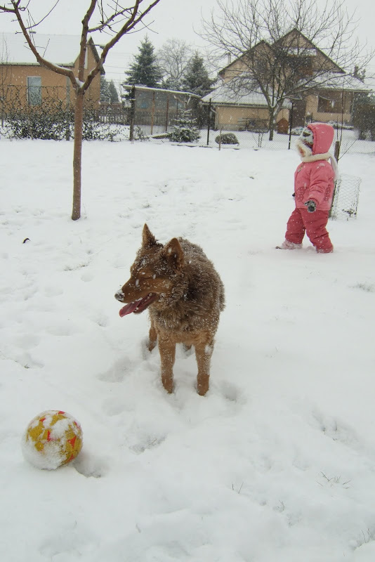 dscf9148.jpg