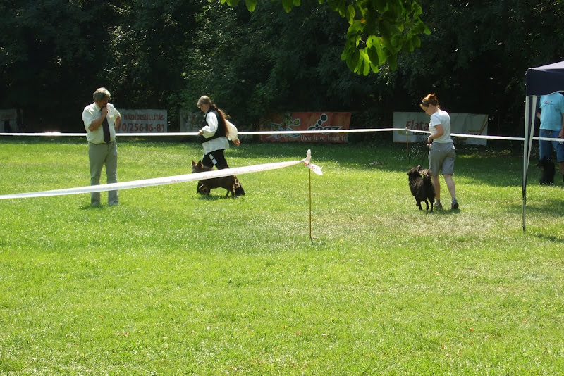 dscf7129.jpg