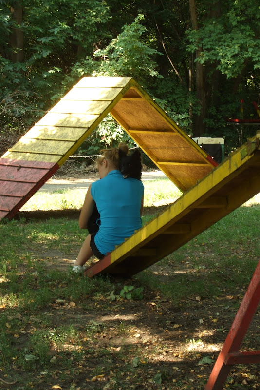 dscf7131.jpg