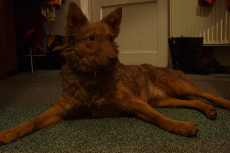 dscf8538.jpg