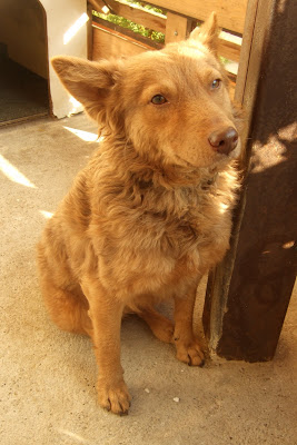 dscf9828.jpg