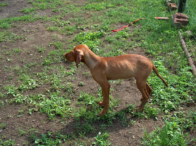 HPIM0245.JPG