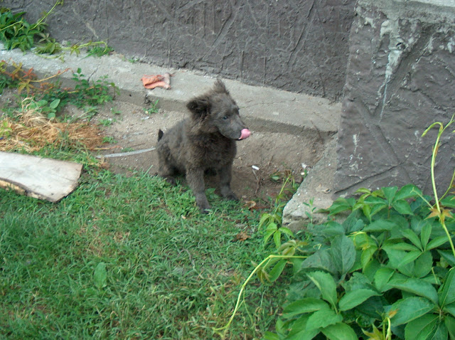 HPIM0494.JPG