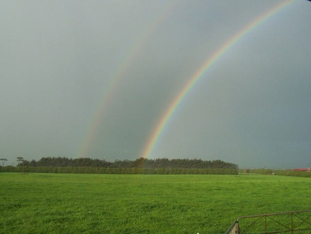 [rainbow[8].jpg]