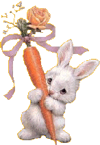 bunny-carrot-gift