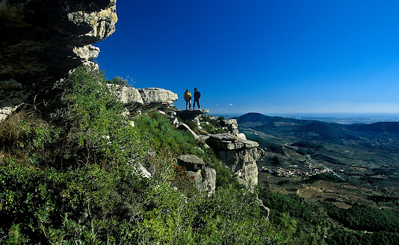 Serra de la Mussara des de la Mola, al fons, Vilaplana, Muntanyes de Prades,Vilaplana, Baix Camp, Tarragona2002.12.31