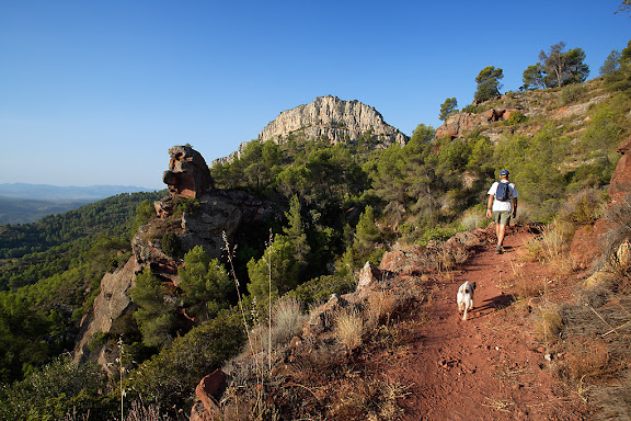 Els Rogerals, camí de Damunt Roca, El Lloar, Priorat, Tarragona