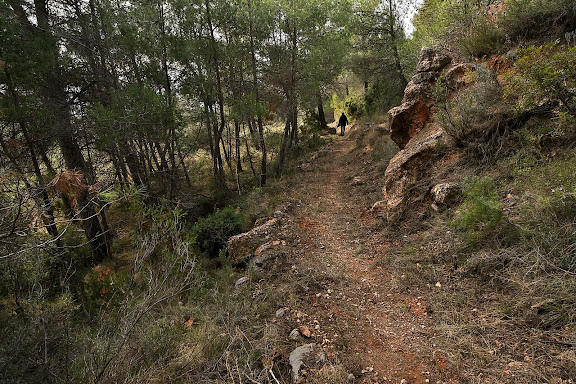 Camí de la Drecera, antic camí de ferradura que connecta La Morera amb Poboleda. Xarxa de camins del Priorat. La Morera de Montsant, Priorat, Tarragona