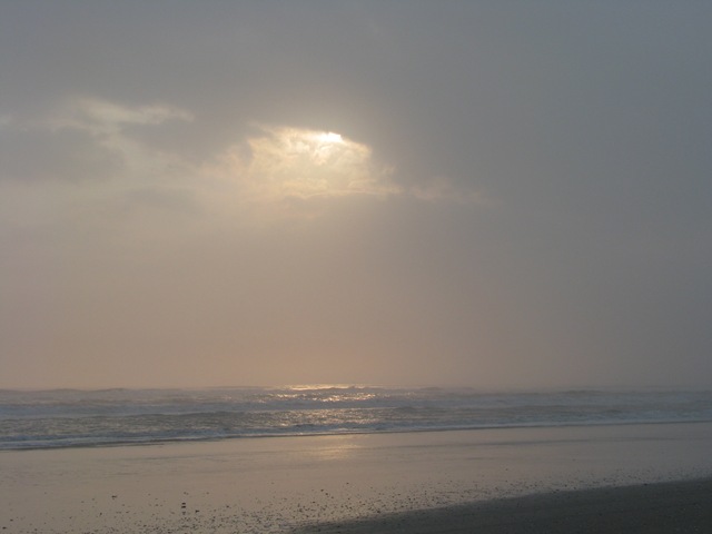 [5223 Early Morning Sea Shell Hunting South Padre Island Texas[2].jpg]