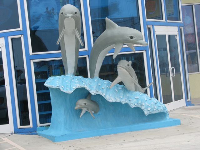 [5509 Dolphins at Radio Shack Port Isabel Texas[2].jpg]