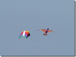 5608 Kites South Padre Island Texas