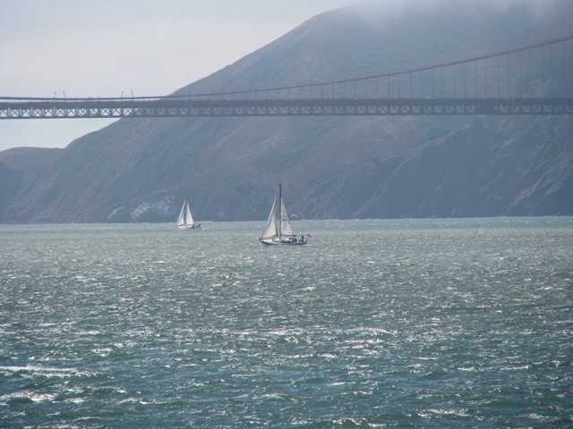 [3393 San Francisco Bay CA[2].jpg]